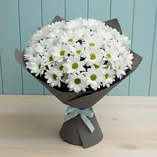 Букет цветов из:  Хризантемы #REPLACE_PRED# Кантемировке