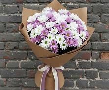 Букет цветов из:  Хризантемы в Кантемировке