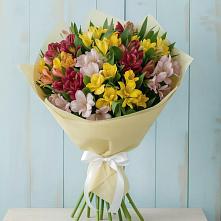 Букет цветов из:  Альстромерии в Кантемировке