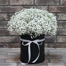 Цветочная композиция из Гипсофила в шляпной коробке в Кантемировке