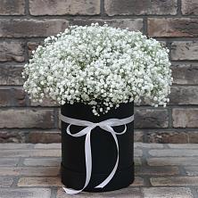 Цветочная композиция из Гипсофила в шляпной коробке в Кантемировке