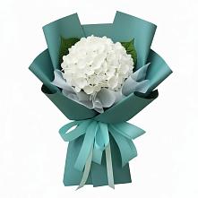 Букет цветов из:  Гортензия в Кантемировке